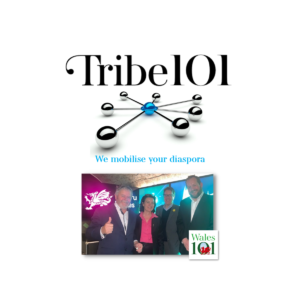 Tribe 101 v2