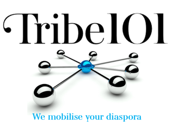 Tribe 101 wins Diaspora Contract with the Welsh Government’s International Relations & Trade Department